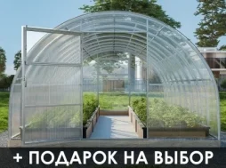 Теплица «СЕВЕРНАЯ-ДД» 3м